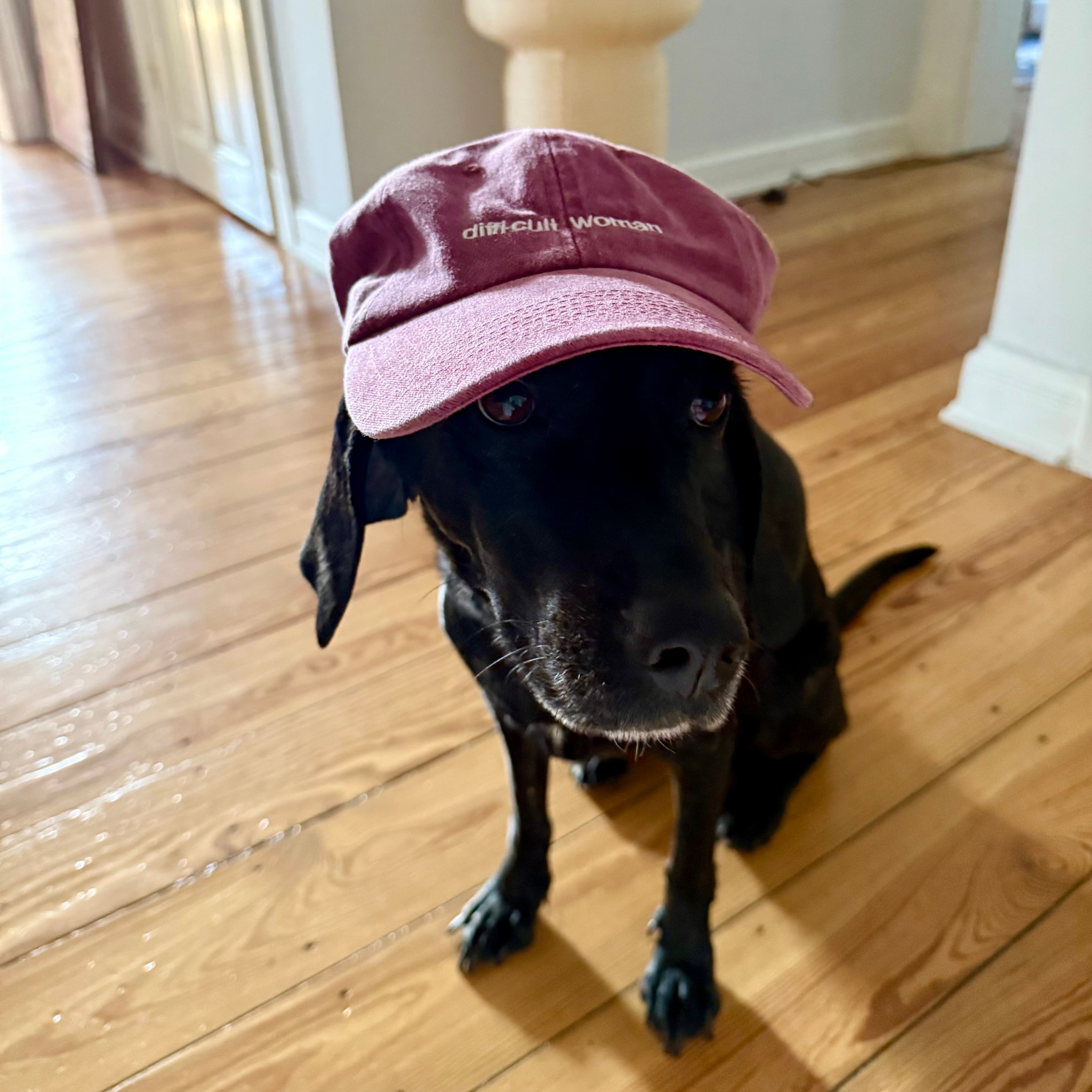The Hat